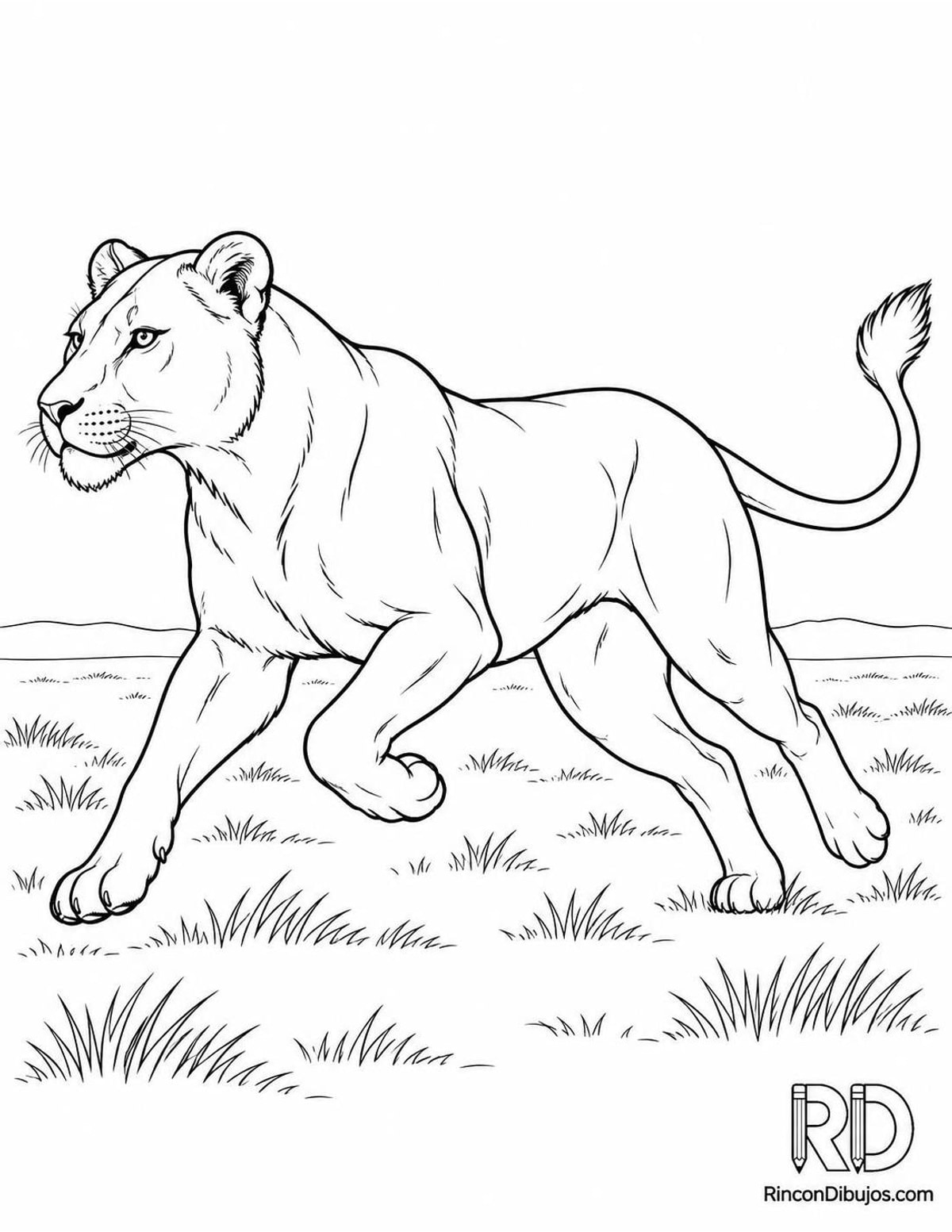Dibujo de leona corriendo para colorear Dibujo de leona corriendo para colorear