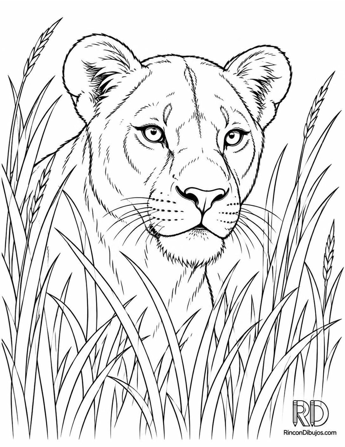 Dibujo de leona escondida para colorear Dibujo de leona escondida para colorear