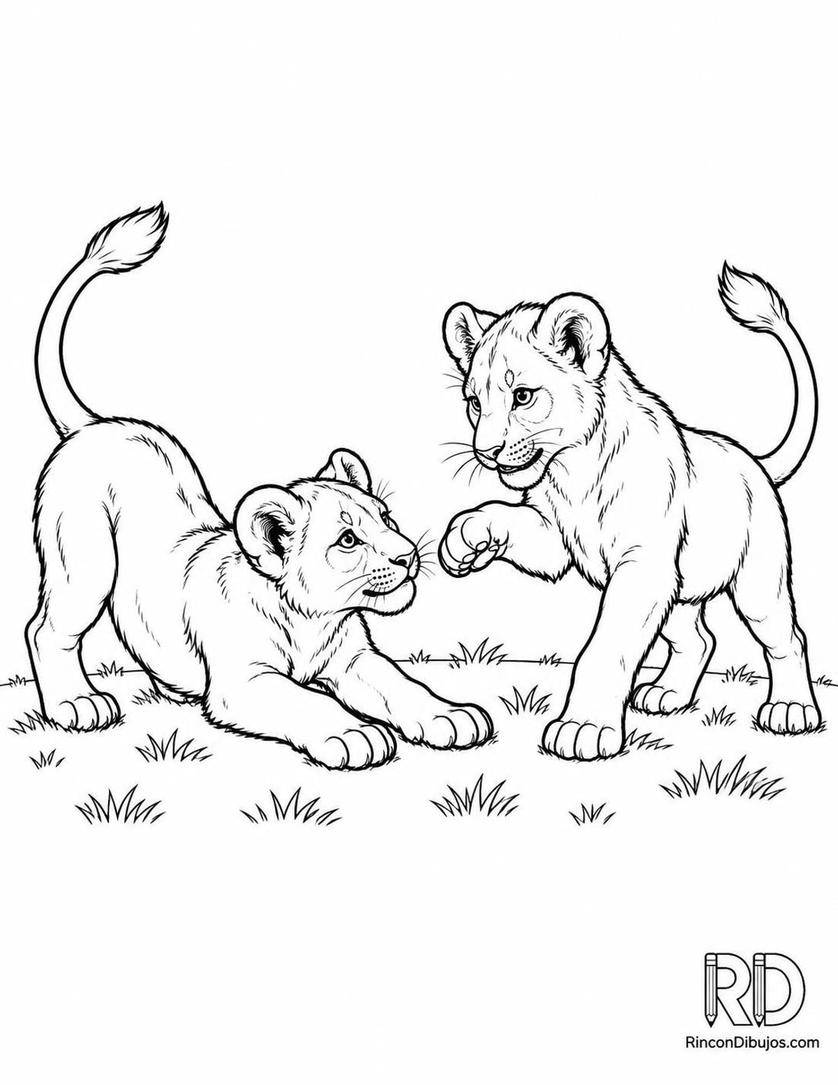 Dibujo de leoncitos jugando para colorear Dibujo de leoncitos jugando para colorear
