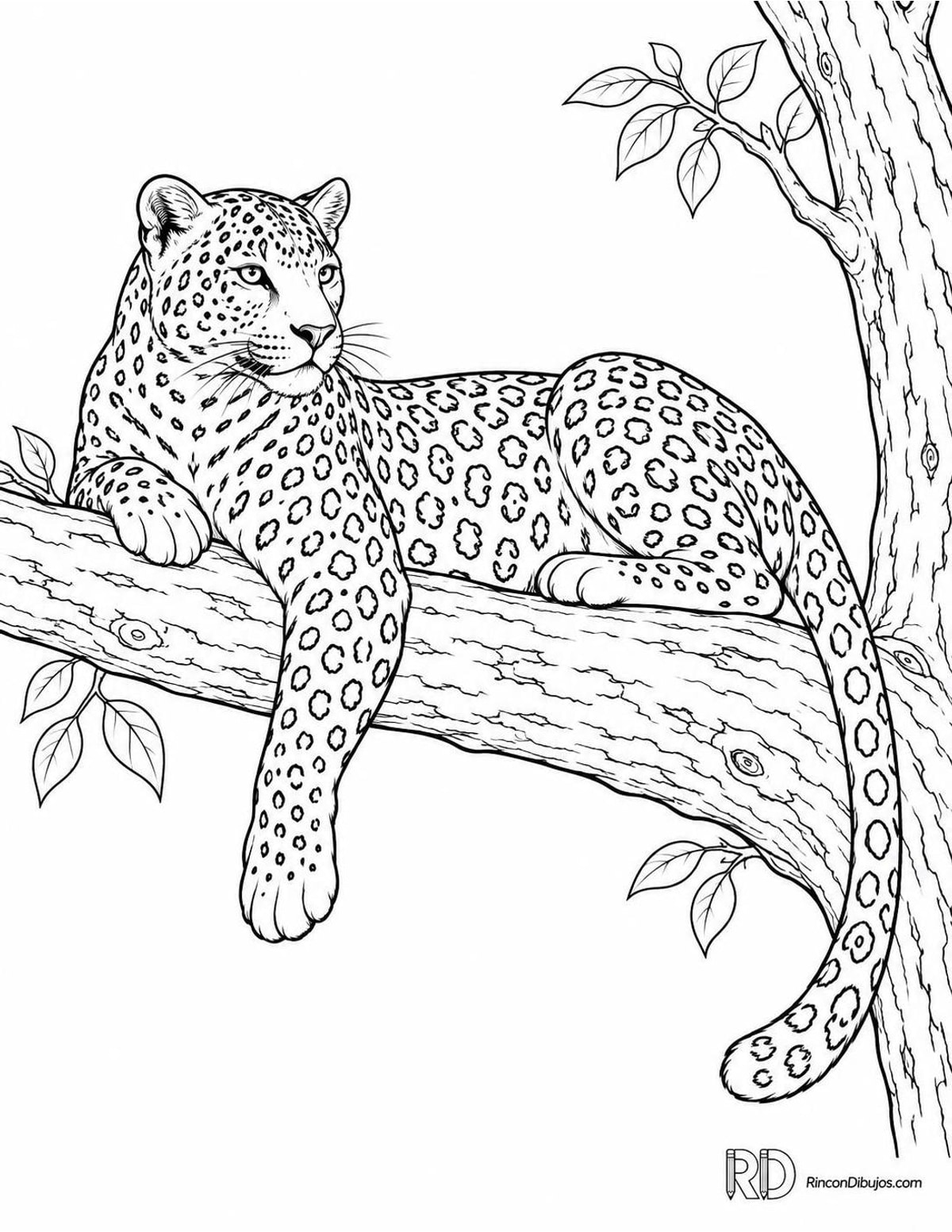 Dibujo de leopardo descansando para colorear Dibujo de leopardo descansando para colorear