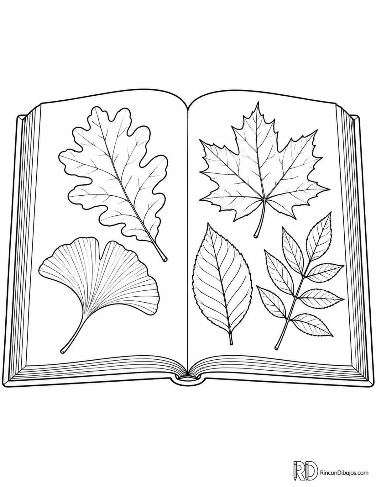 Dibujo de libro de botánica para colorear