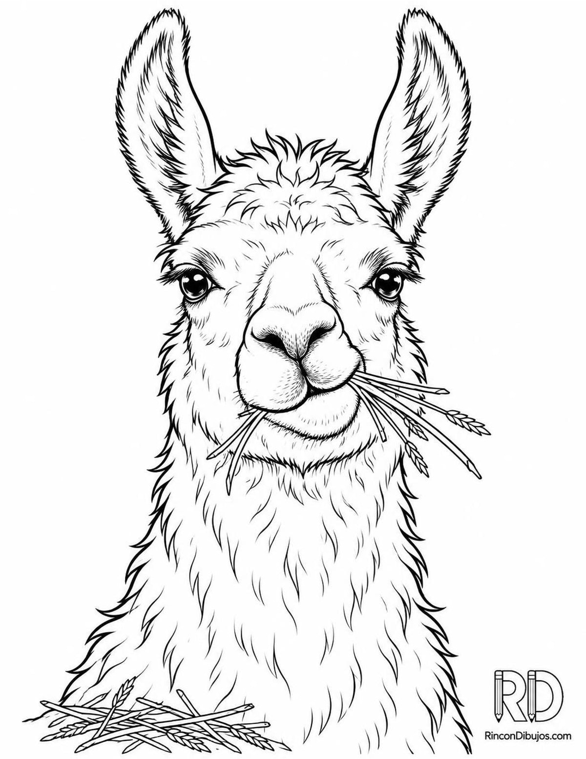 Dibujo de llama comiendo para colorear