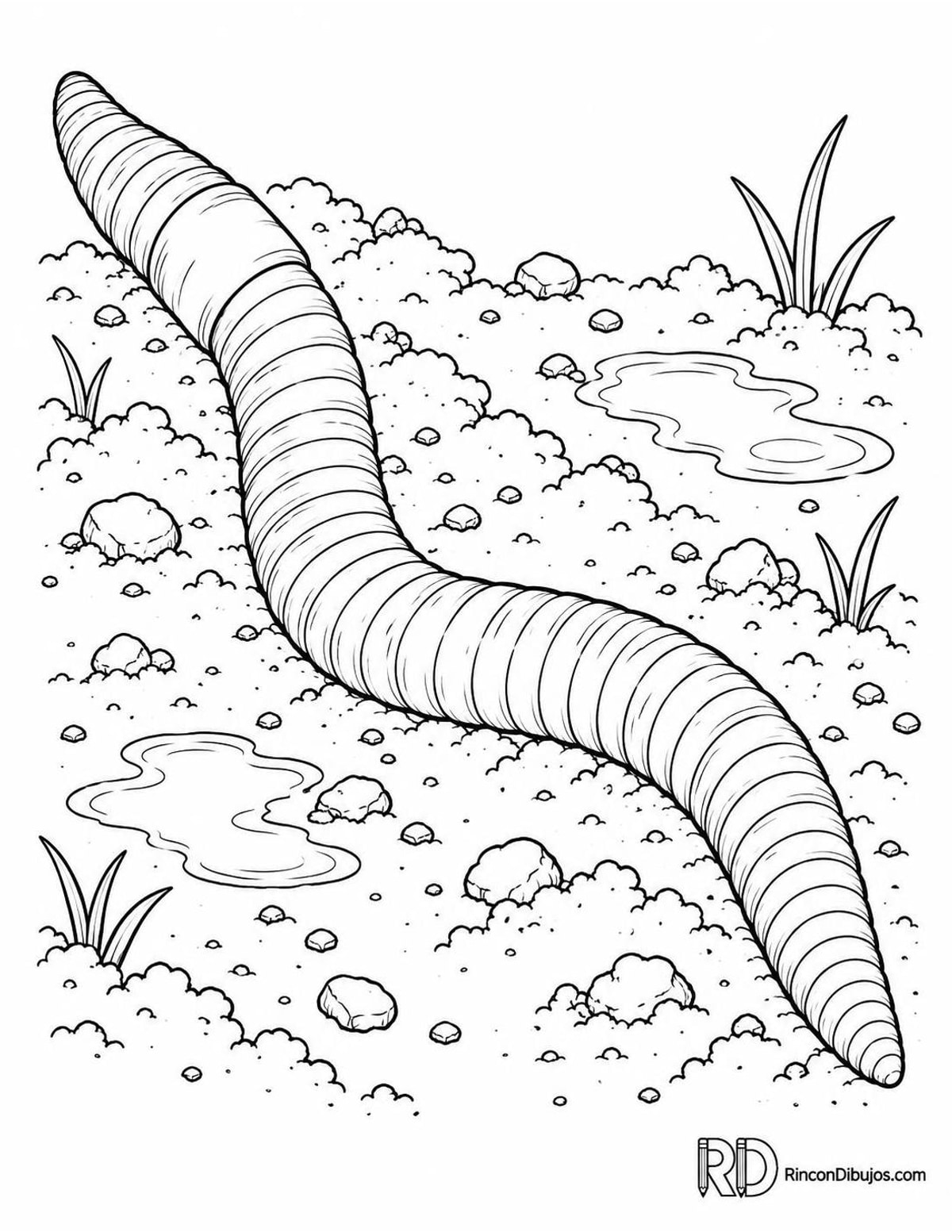 Dibujo de lombriz de tierra para colorear