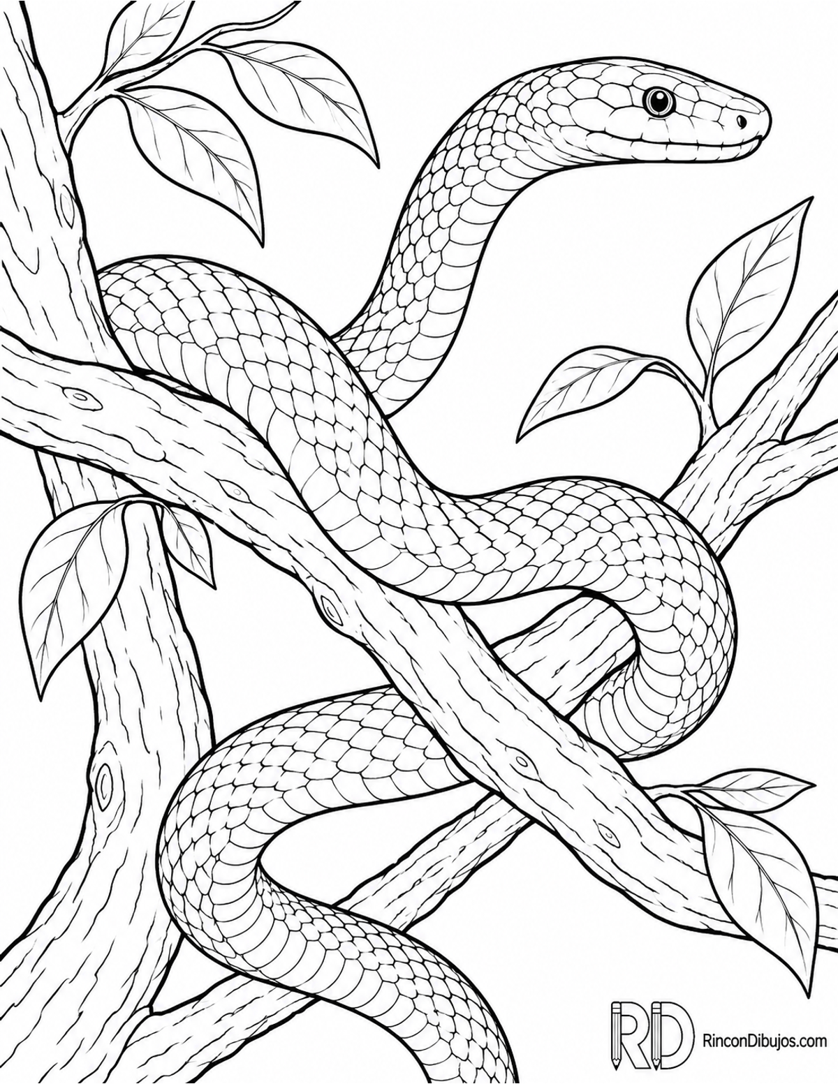 Dibujo de mamba verde para colorear Dibujo de mamba verde para colorear