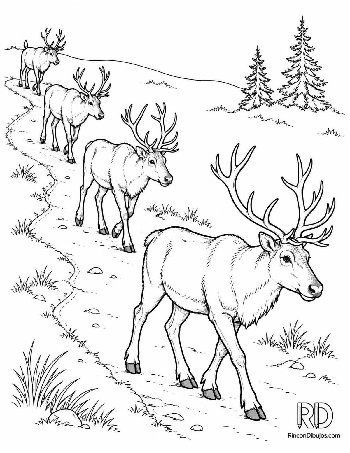 Dibujo de manada de renos para colorear Dibujo de manada de renos para colorear