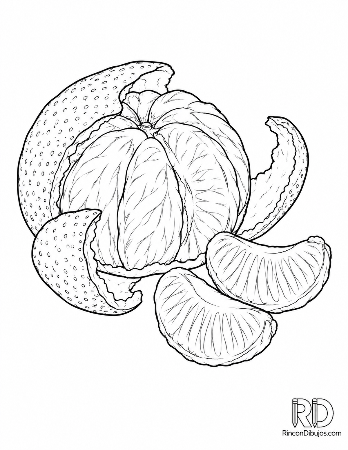 Dibujo de mandarina pelada para colorear Dibujo de mandarina pelada para colorear