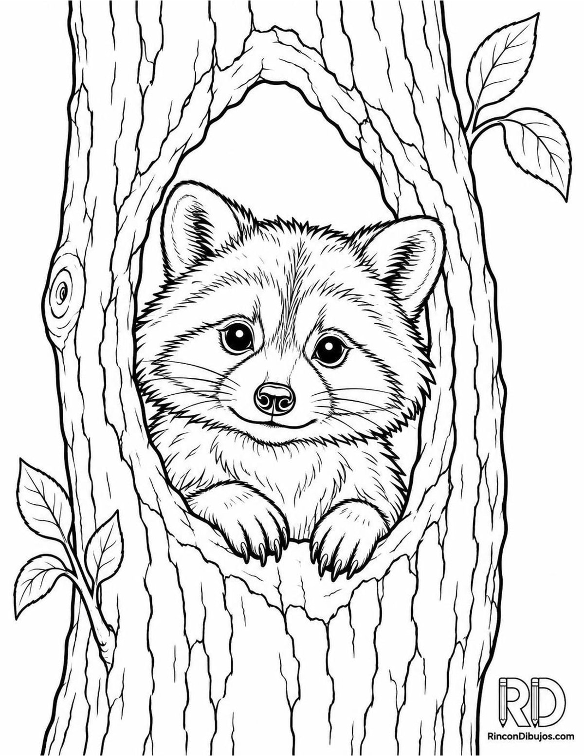 Dibujo de mapache joven para colorear Dibujo de mapache joven para colorear