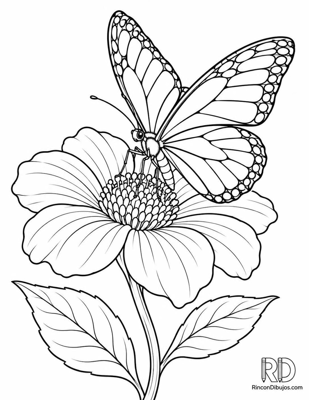 Dibujo de mariposa en flor para colorear Dibujo de mariposa en flor para colorear