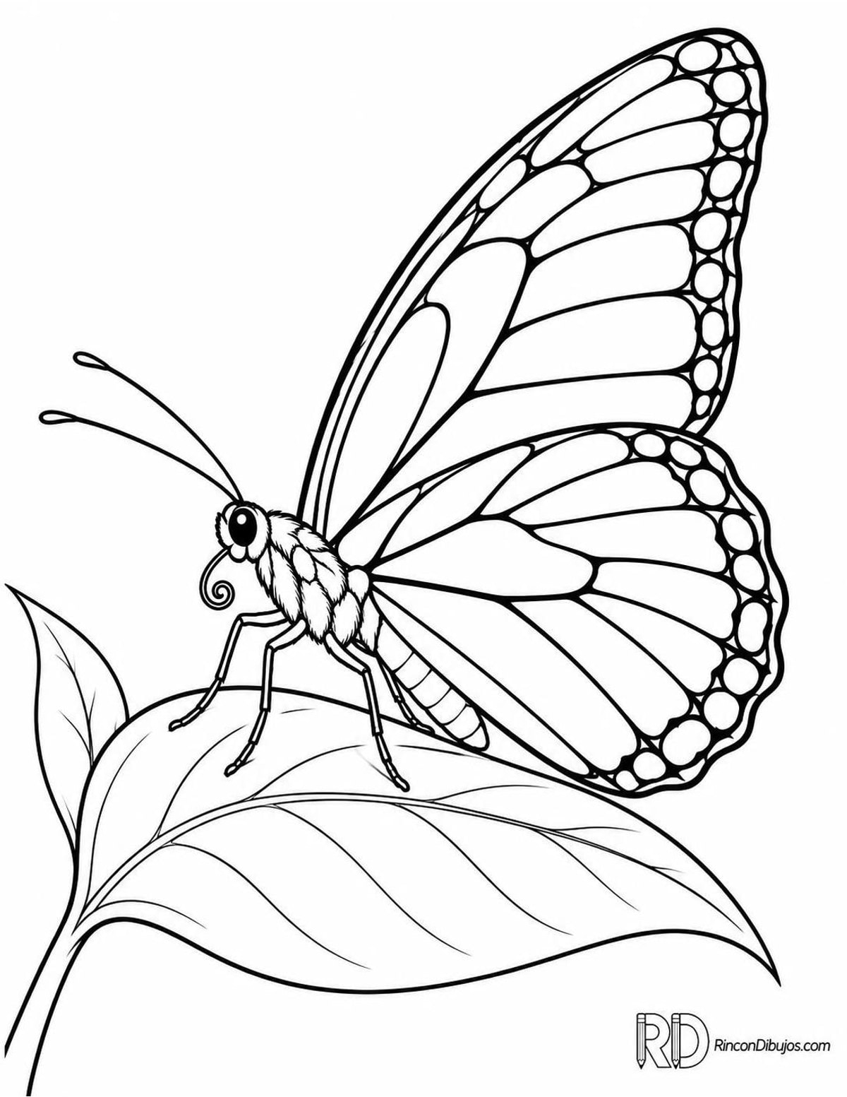 Dibujo de mariposa en hoja para colorear Dibujo de mariposa en hoja para colorear