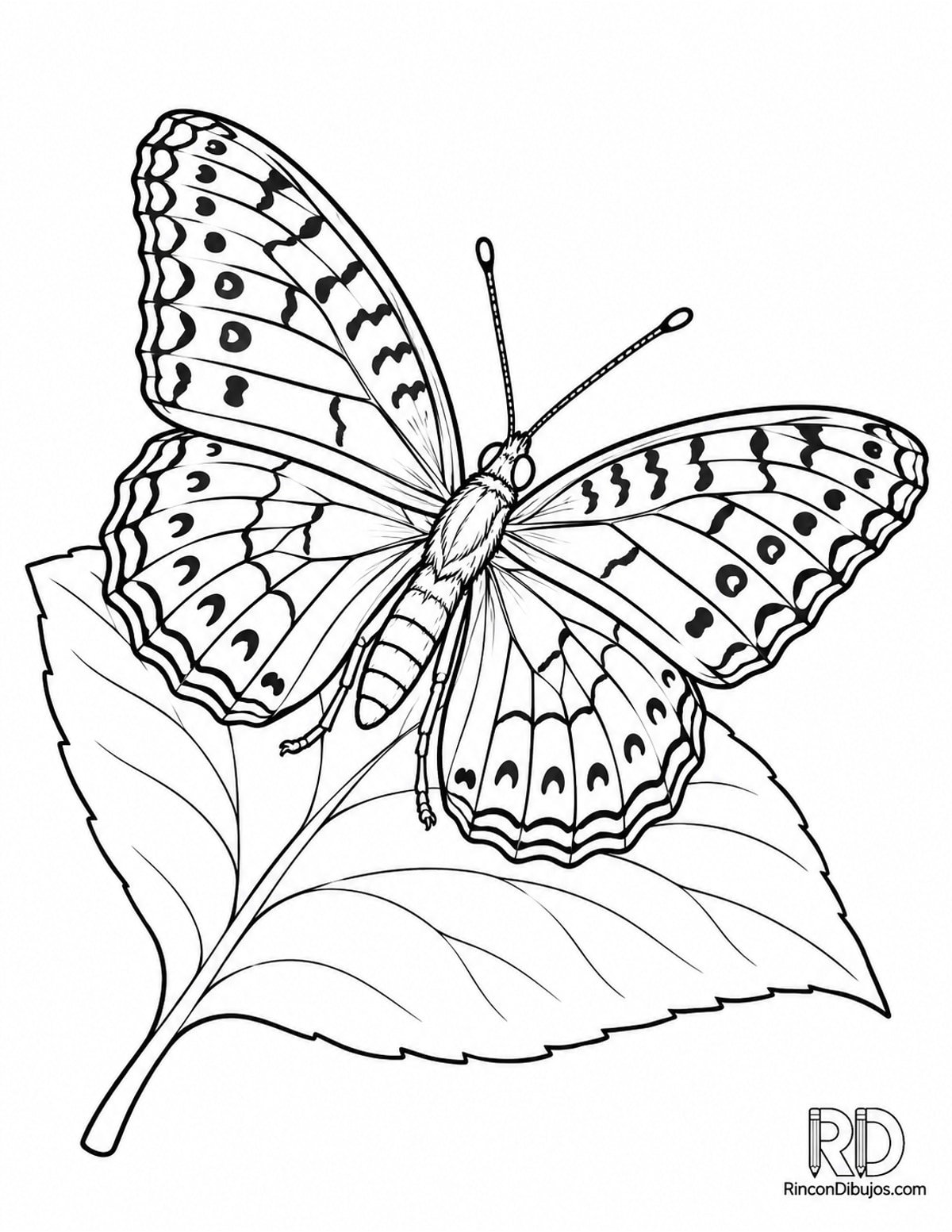 Dibujo de mariposa gran fritilaria para colorear Dibujo de mariposa gran fritilaria para colorear