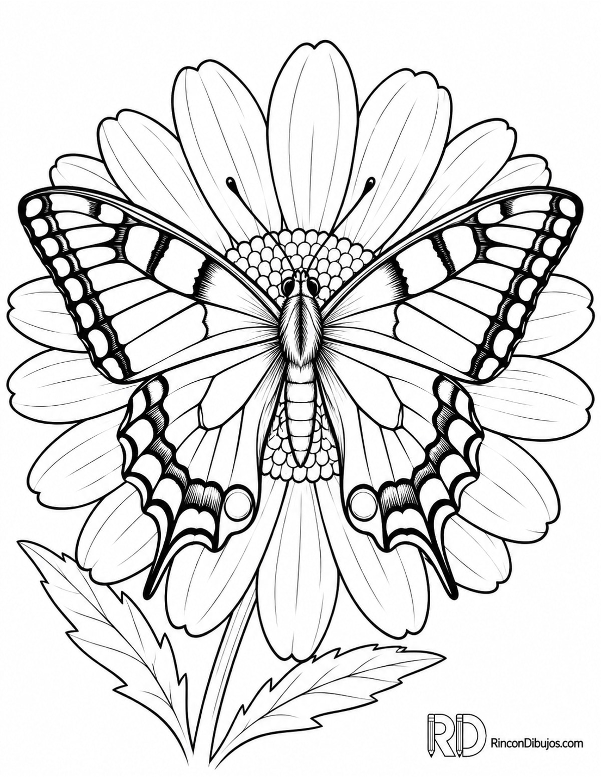 Dibujo de mariposa macaón para colorear Dibujo de mariposa macaón para colorear