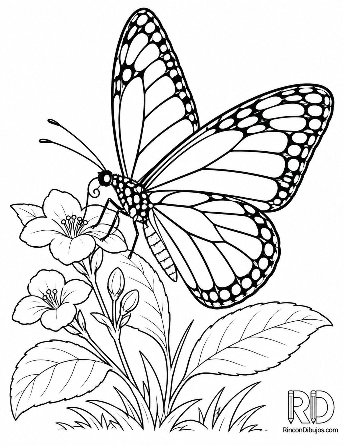 Dibujo de mariposa tigre para colorear Dibujo de mariposa tigre para colorear