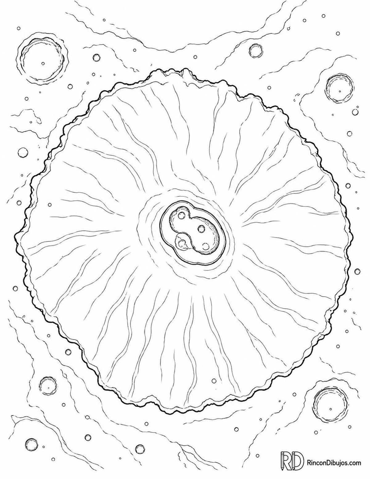 Dibujo de Marte volcánico para colorear Dibujo de Marte volcánico para colorear