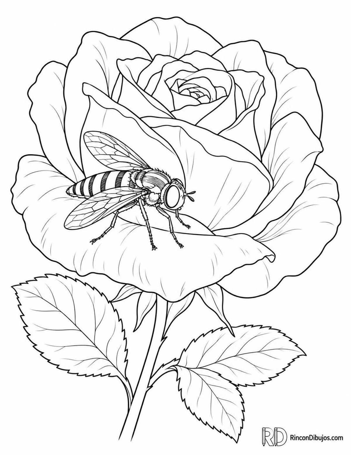 Dibujo de mosca de las flores para colorear Dibujo de mosca de las flores para colorear