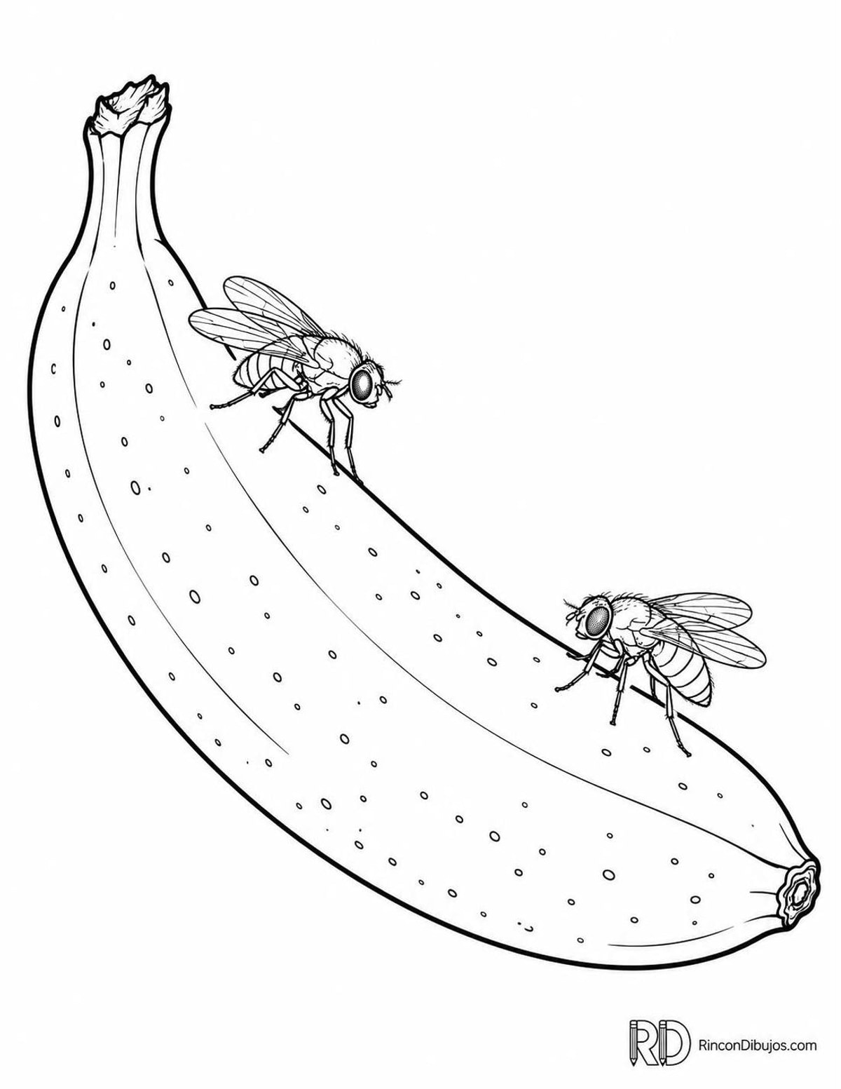 Dibujo de moscas sobre plátano para colorear Dibujo de moscas sobre plátano para colorear