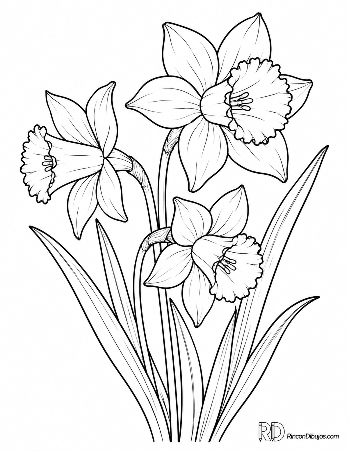 Dibujo de narcisos inclinados para colorear Dibujo de narcisos inclinados para colorear