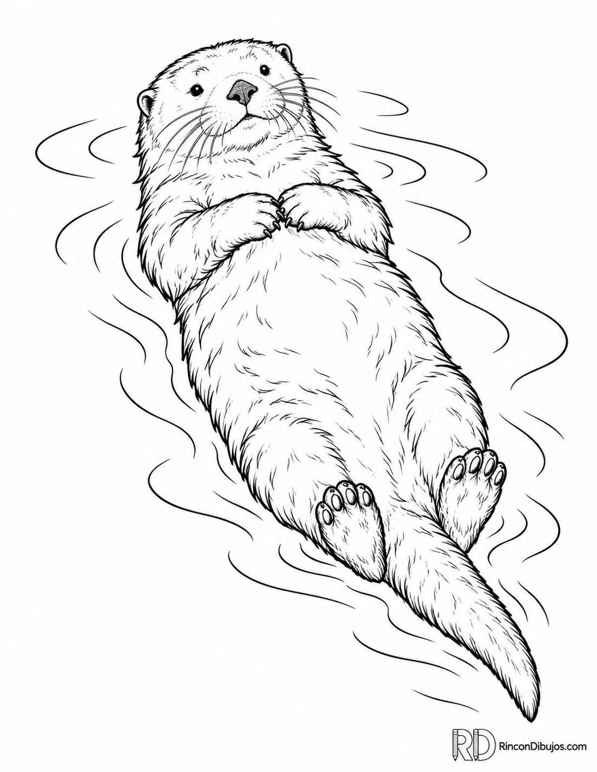 Dibujo de nutria flotando para colorear