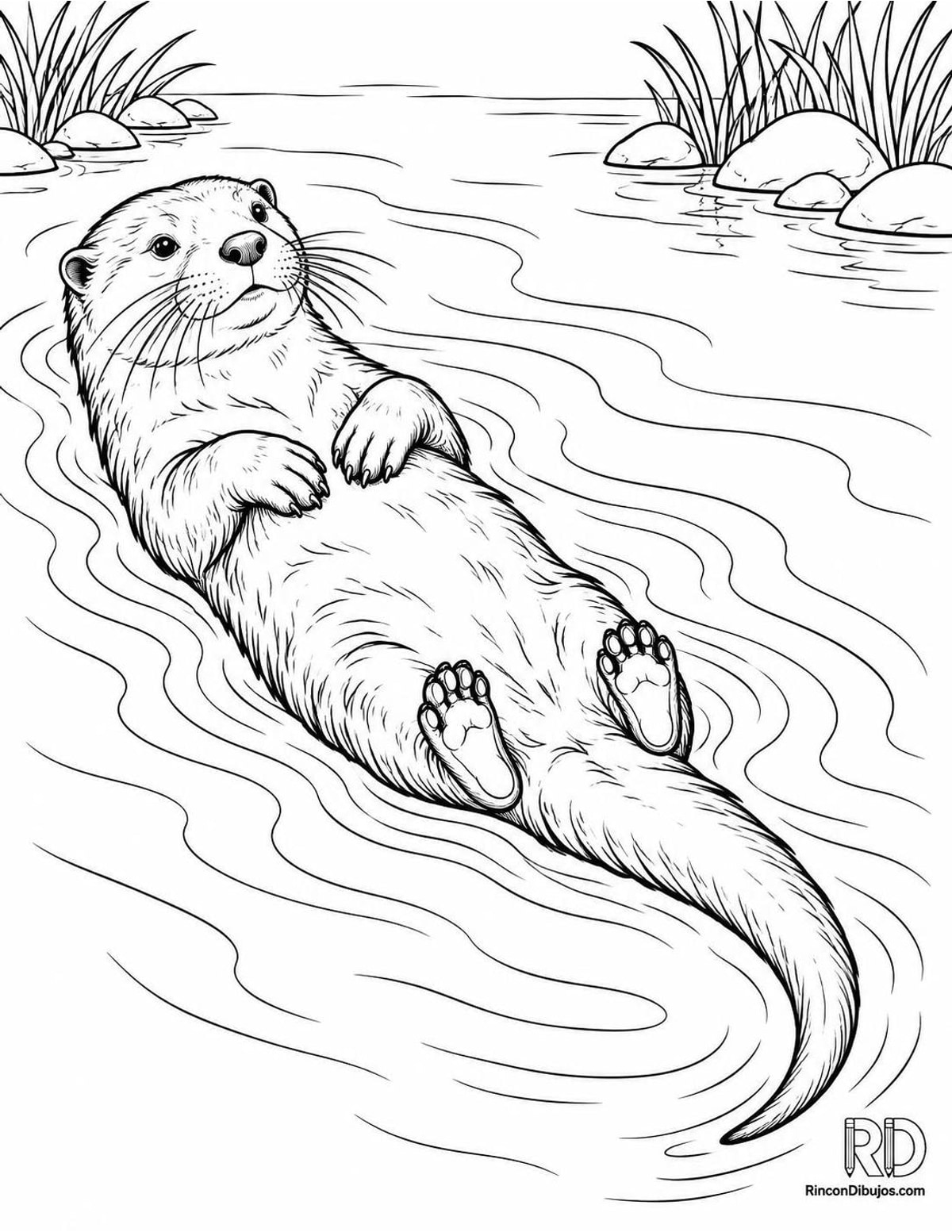 Dibujo de nutria flotando para colorear