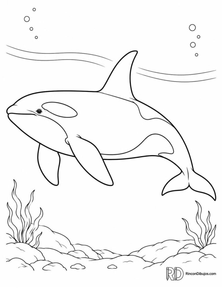 Dibujos de Orcas para Colorear