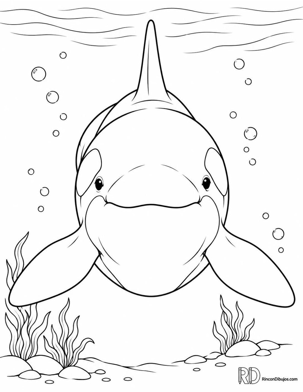 Dibujo de orca avanzando para colorear Dibujo de orca avanzando para colorear
