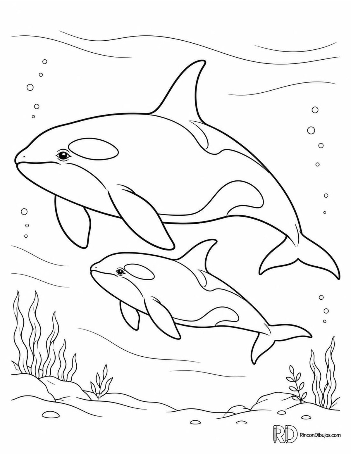 Dibujo de orca con cría para colorear Dibujo de orca con cría para colorear