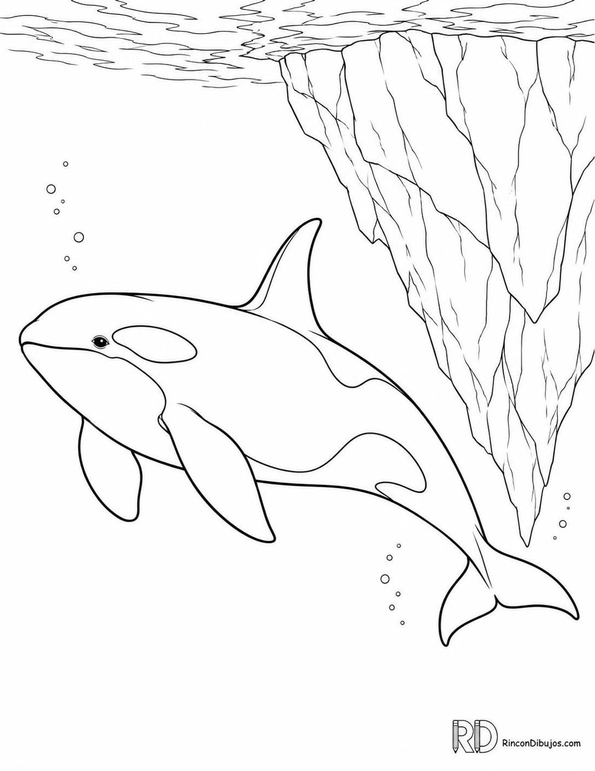 Dibujo de orca con hielo para colorear Dibujo de orca con hielo para colorear