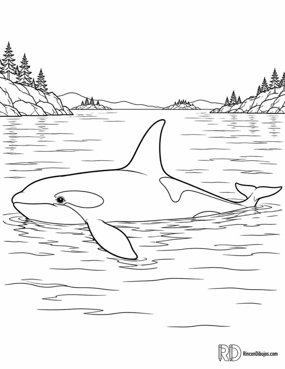 Dibujo de orca descansando para colorear Dibujo de orca descansando para colorear
