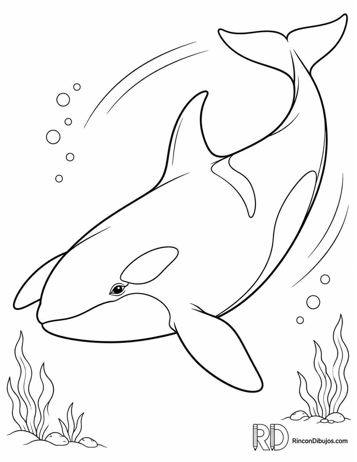 Dibujo de orca girando para colorear Dibujo de orca girando para colorear