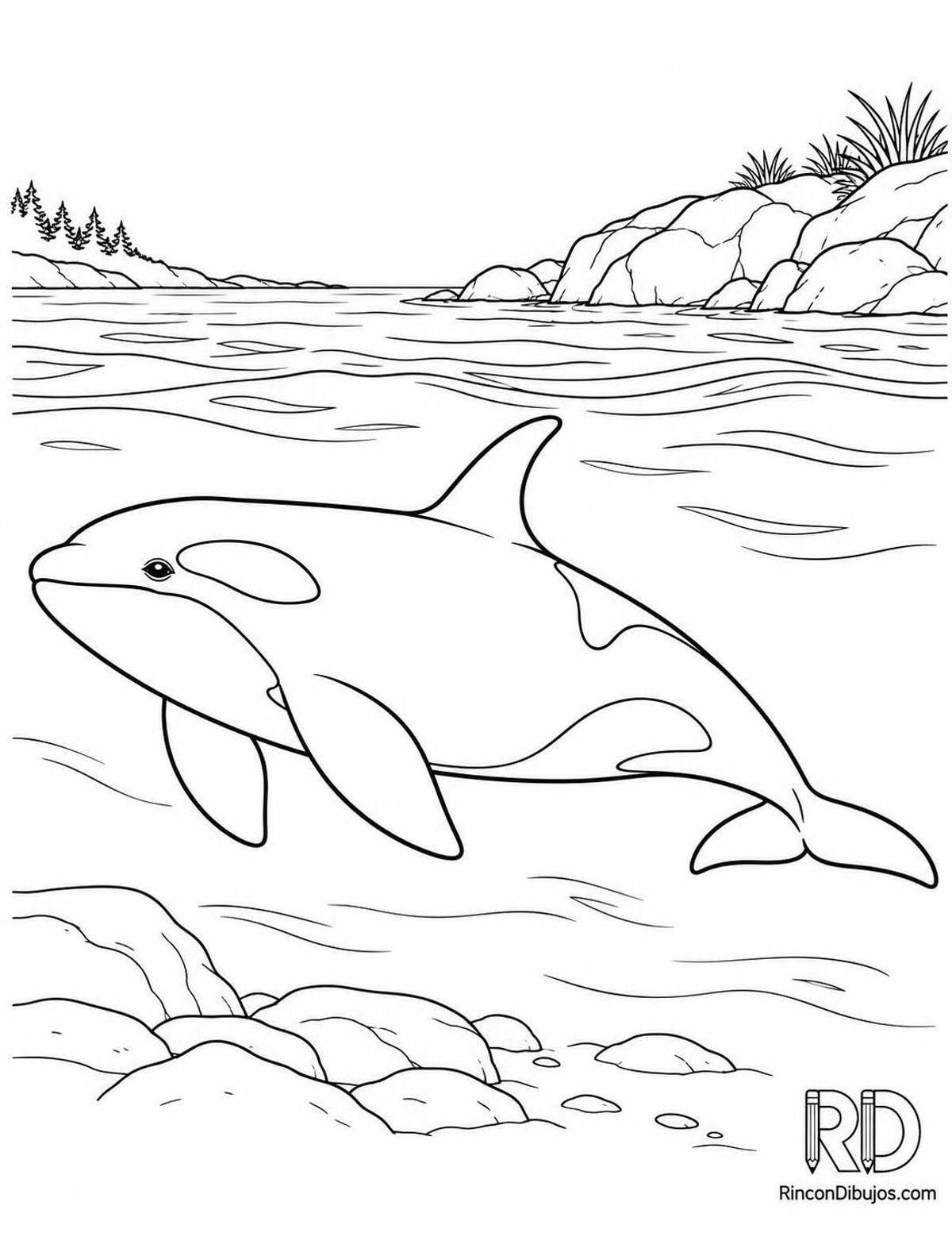 Dibujo de orca hembra para colorear Dibujo de orca hembra para colorear