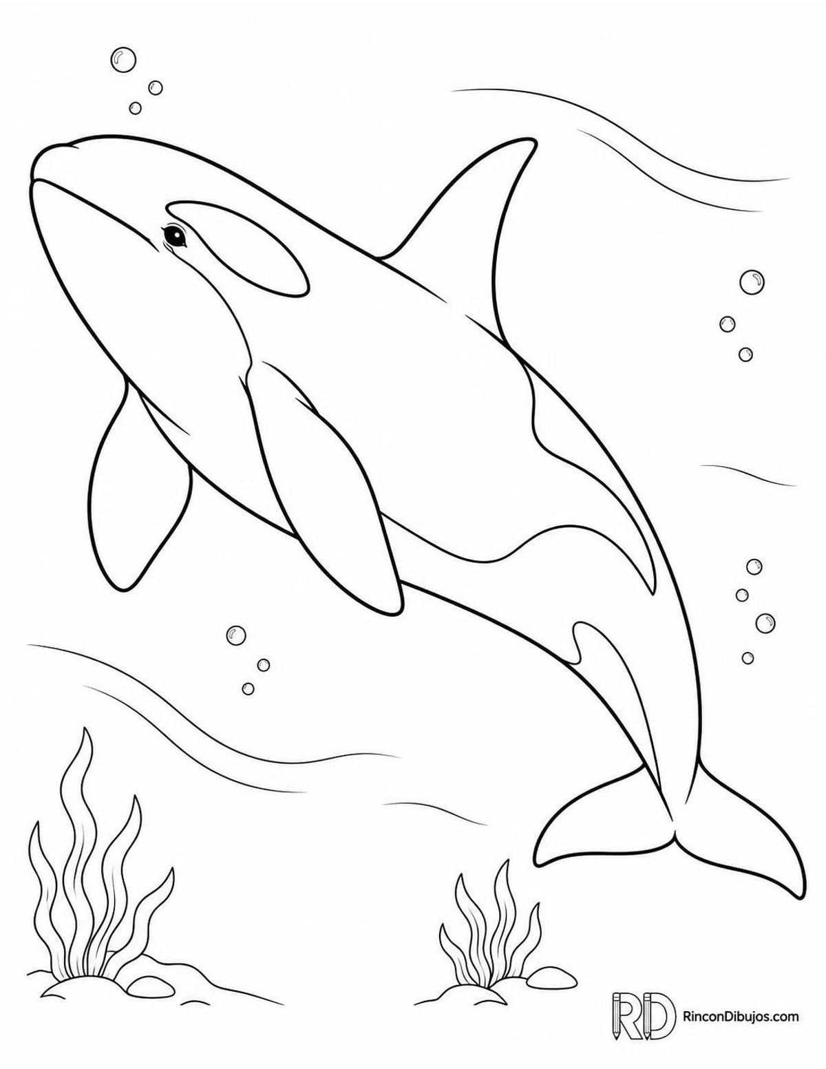 Dibujo de orca nadando para colorear Dibujo de orca nadando para colorear