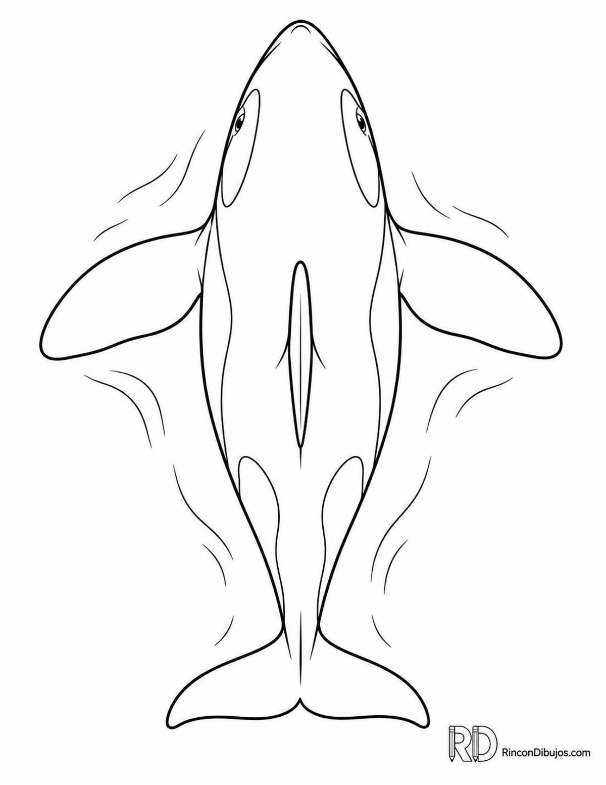 Dibujo de orca para colorear Dibujo de orca para colorear