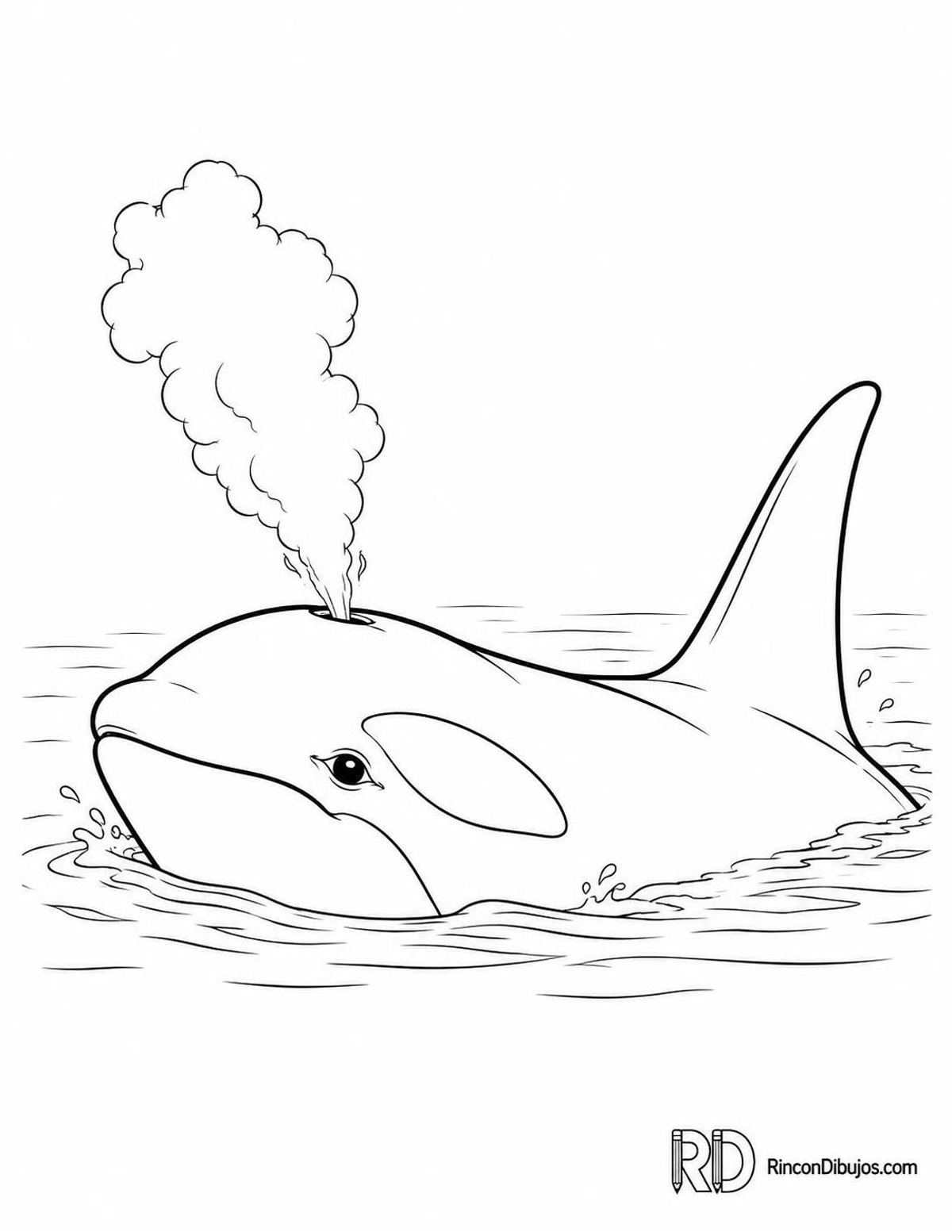 Dibujo de orca respirando para colorear Dibujo de orca respirando para colorear