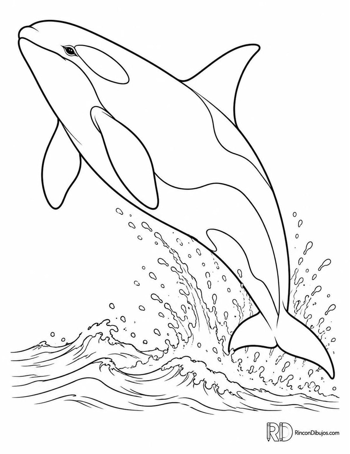 Dibujo de orca saltando para colorear Dibujo de orca saltando para colorear