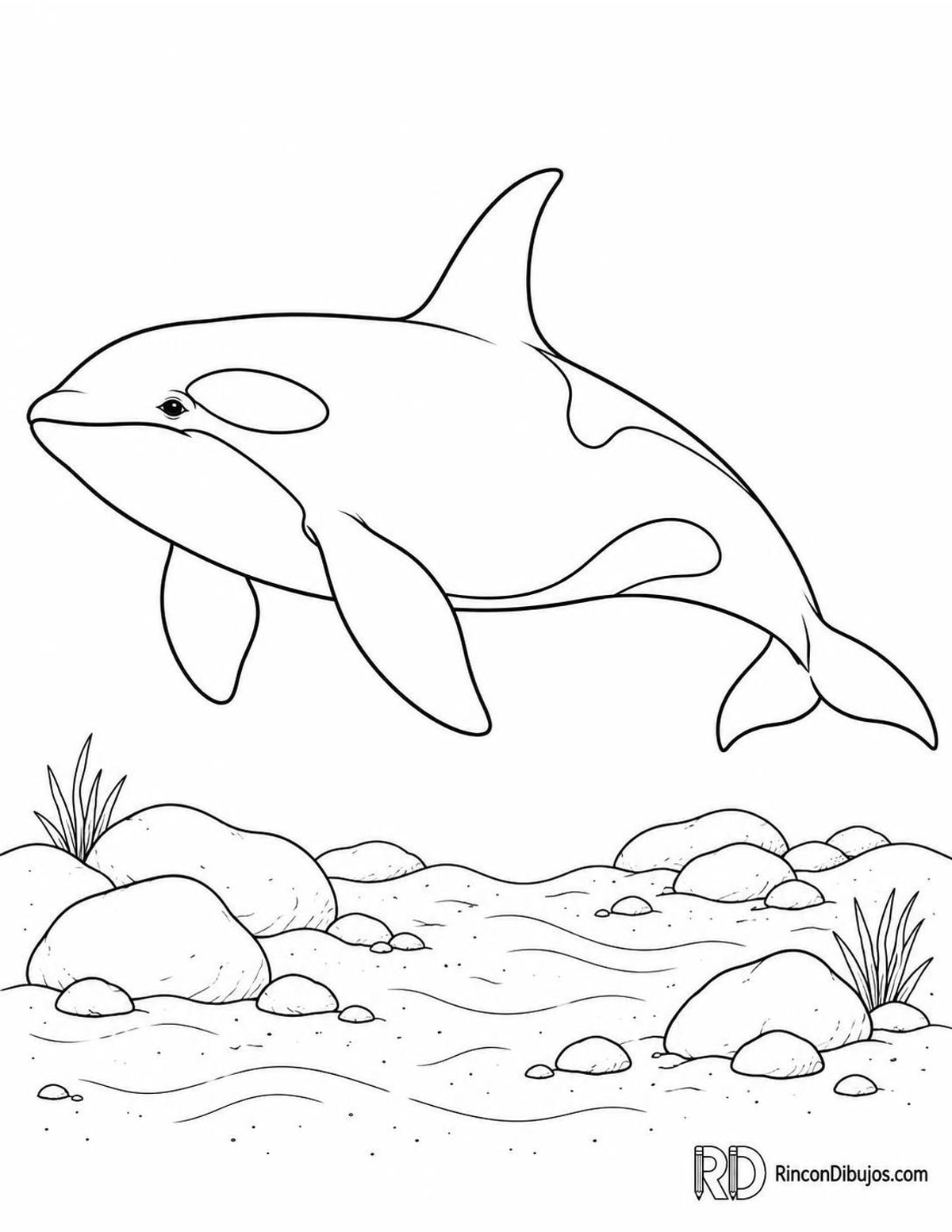 Dibujo de orca submarina para colorear Dibujo de orca submarina para colorear