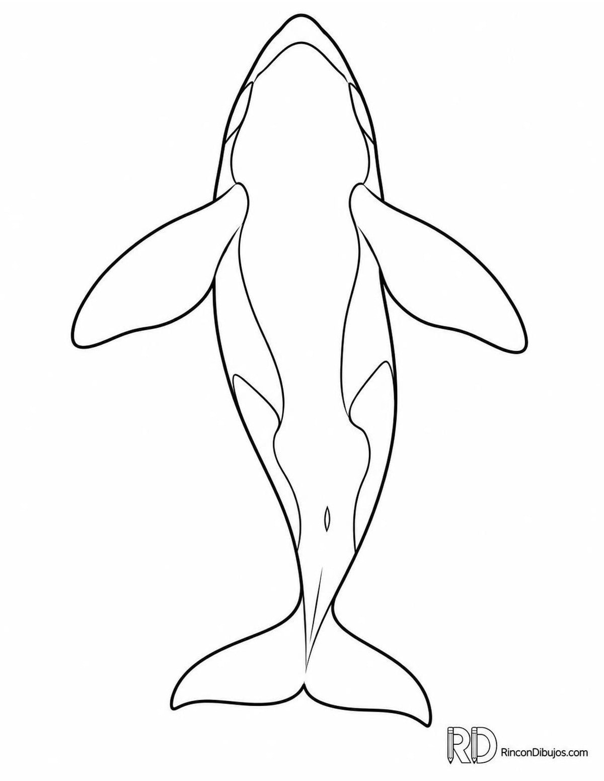 Dibujo de orca sumergida para colorear Dibujo de orca sumergida para colorear