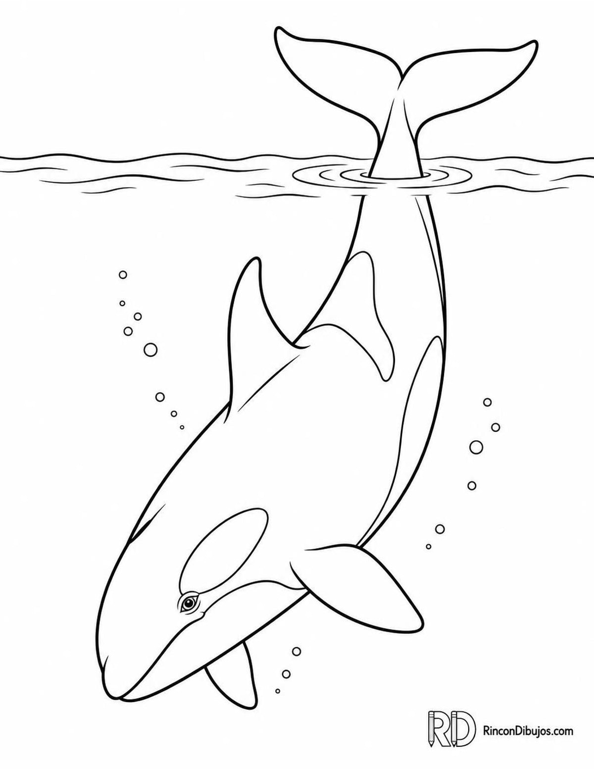 Dibujo de orca sumergiéndose para colorear Dibujo de orca sumergiéndose para colorear