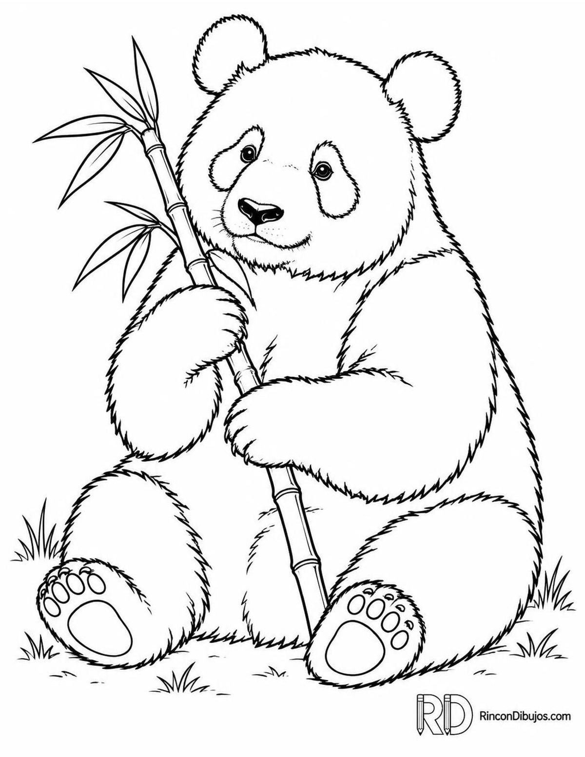 Dibujo de oso panda para colorear