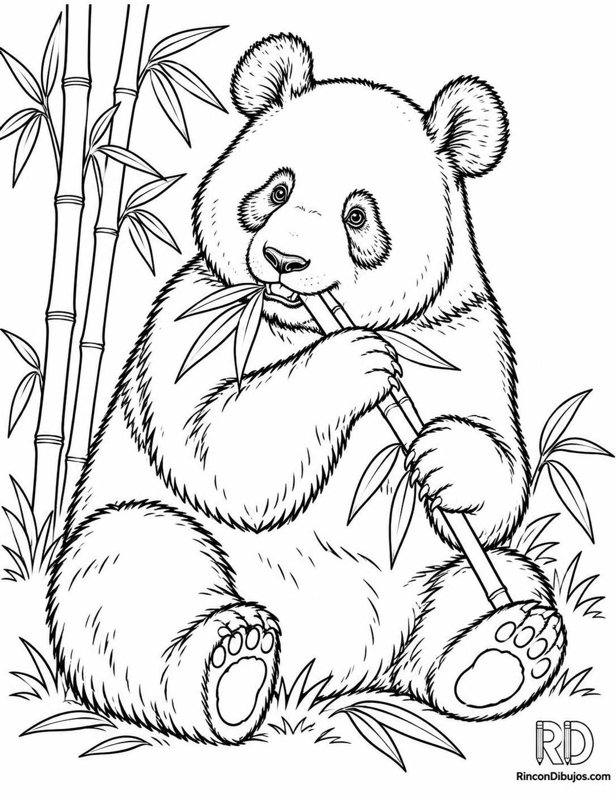 Dibujo de oso panda para colorear Dibujo de oso panda para colorear