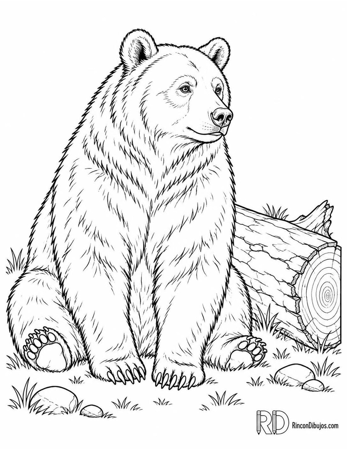 Dibujo de oso pardo para colorear Dibujo de oso pardo para colorear