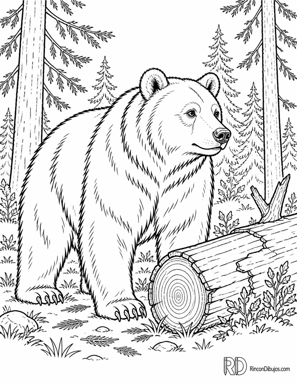 Dibujo de oso pardo para colorear Dibujo de oso pardo para colorear