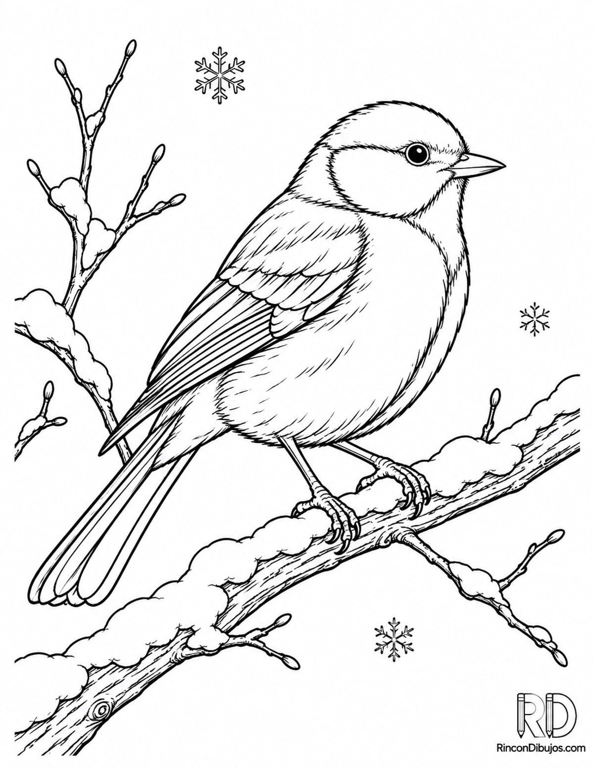 Dibujo de pájaro carbonero para colorear Dibujo de pájaro carbonero para colorear