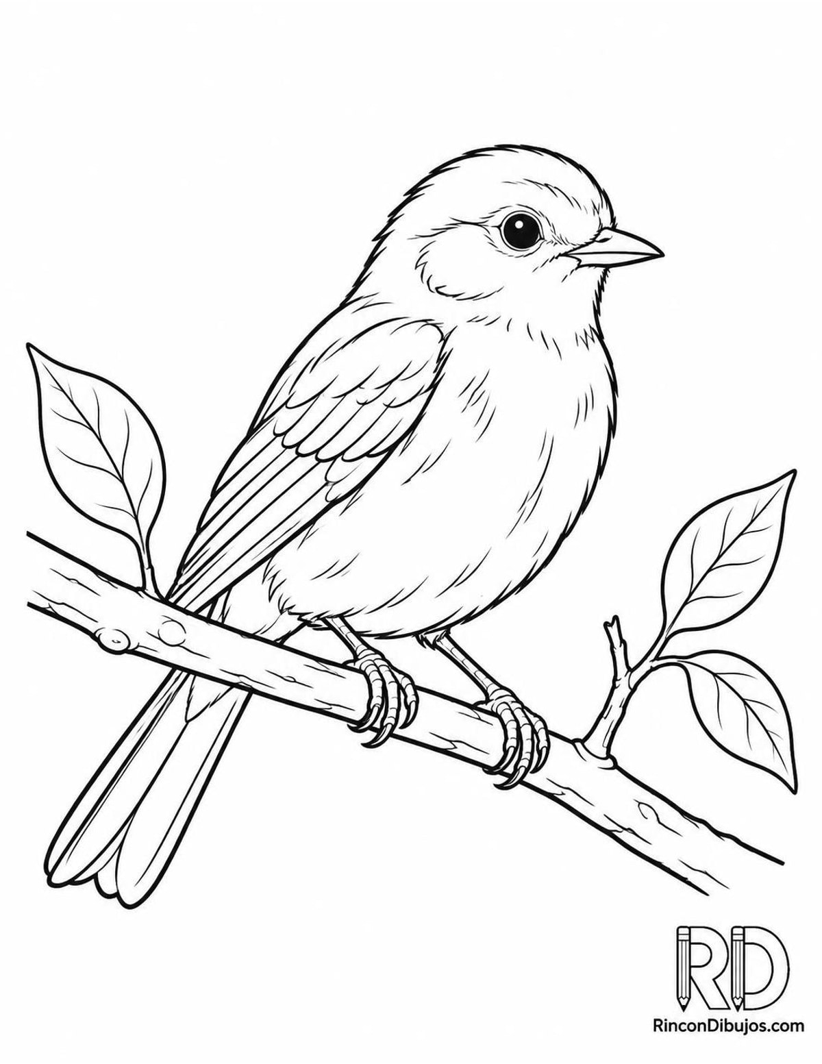 Dibujo de pájaro en rama para colorear Dibujo de pájaro en rama para colorear