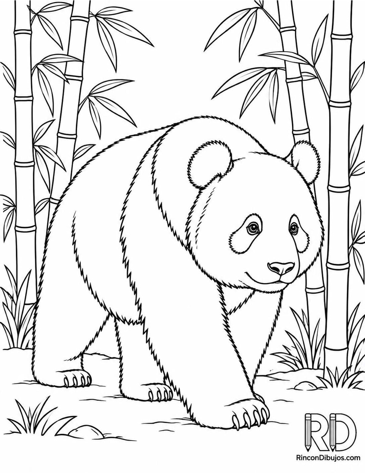 Dibujo de panda caminando para colorear Dibujo de panda caminando para colorear