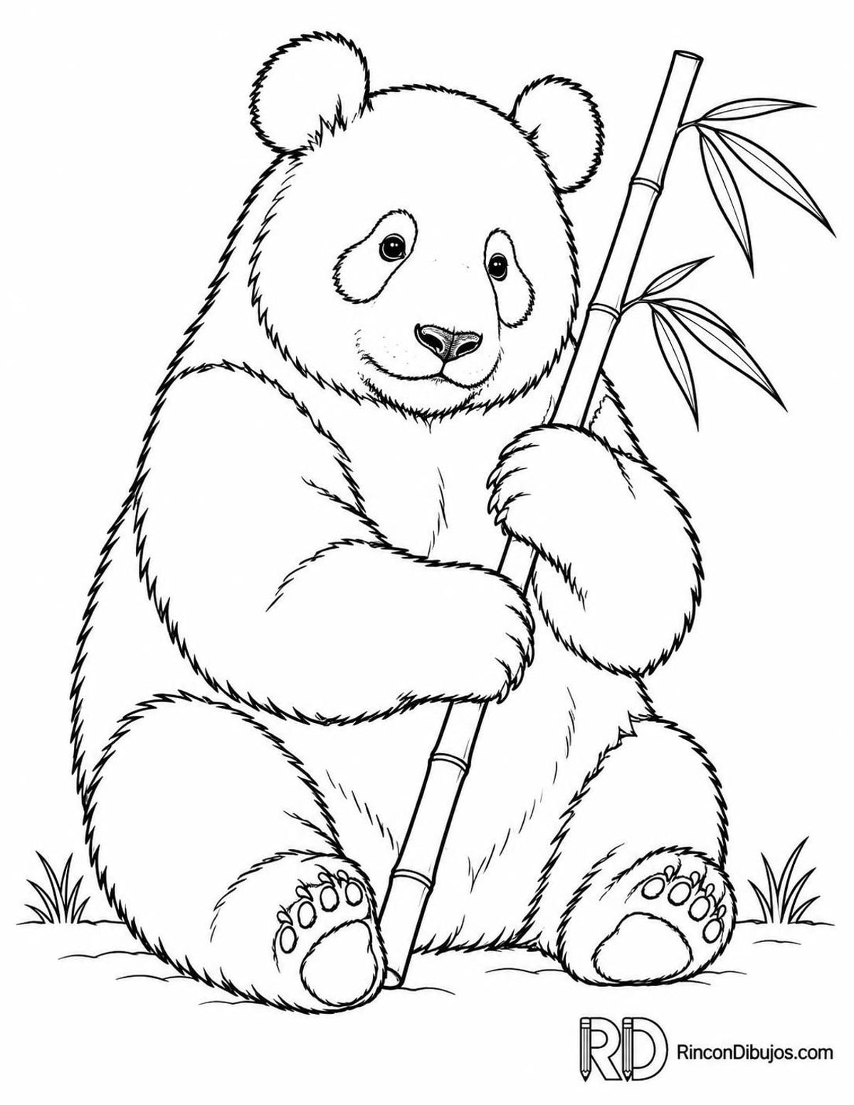 Dibujo de panda gigante para colorear Dibujo de panda gigante para colorear