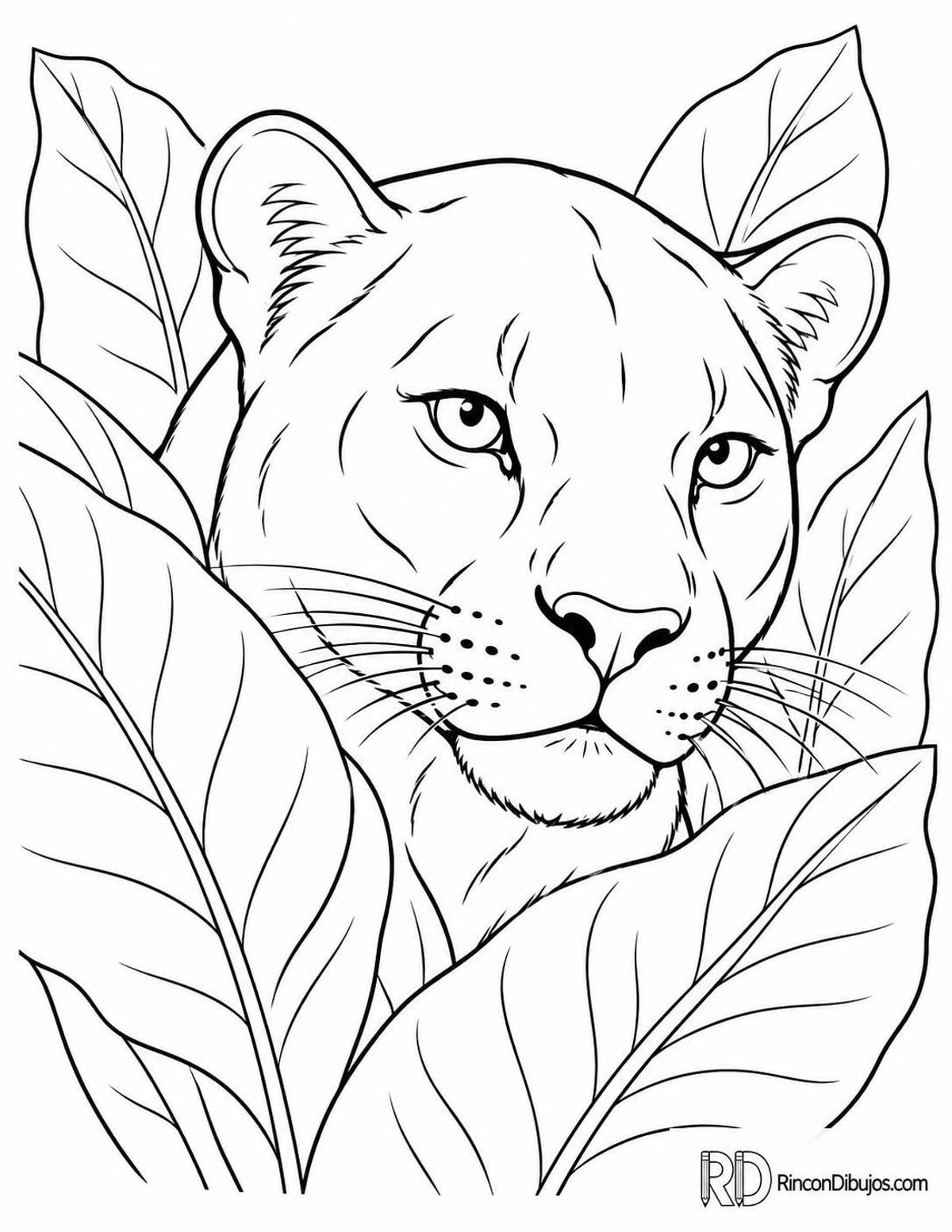 Dibujo de pantera asomándose para colorear Dibujo de pantera asomándose para colorear