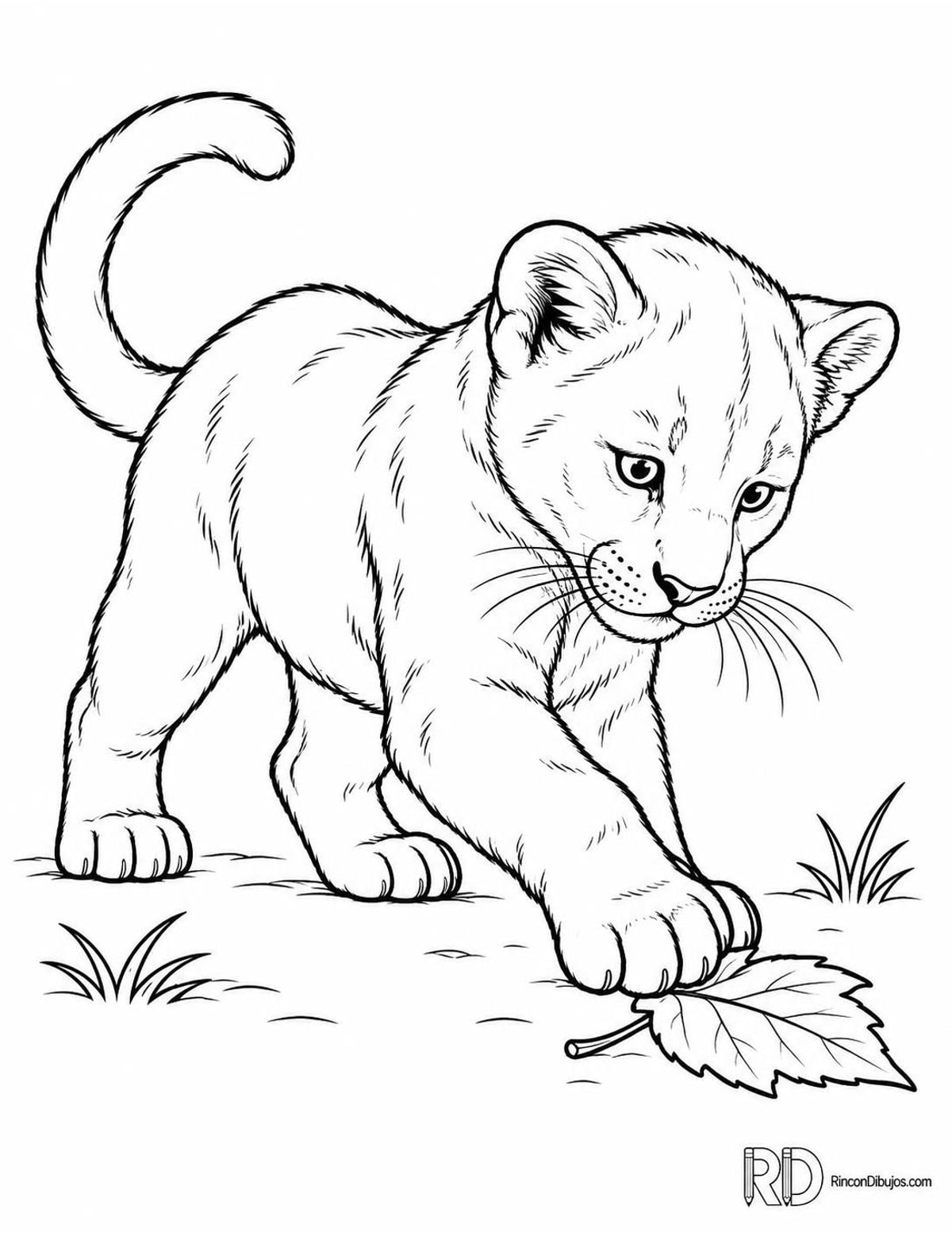 Dibujo de pantera cachorro jugando para colorear Dibujo de pantera cachorro jugando para colorear