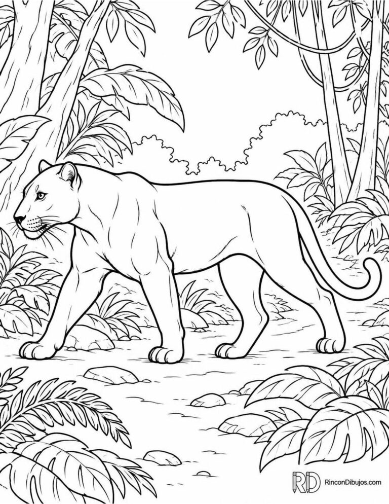 Dibujos de Panteras para Colorear