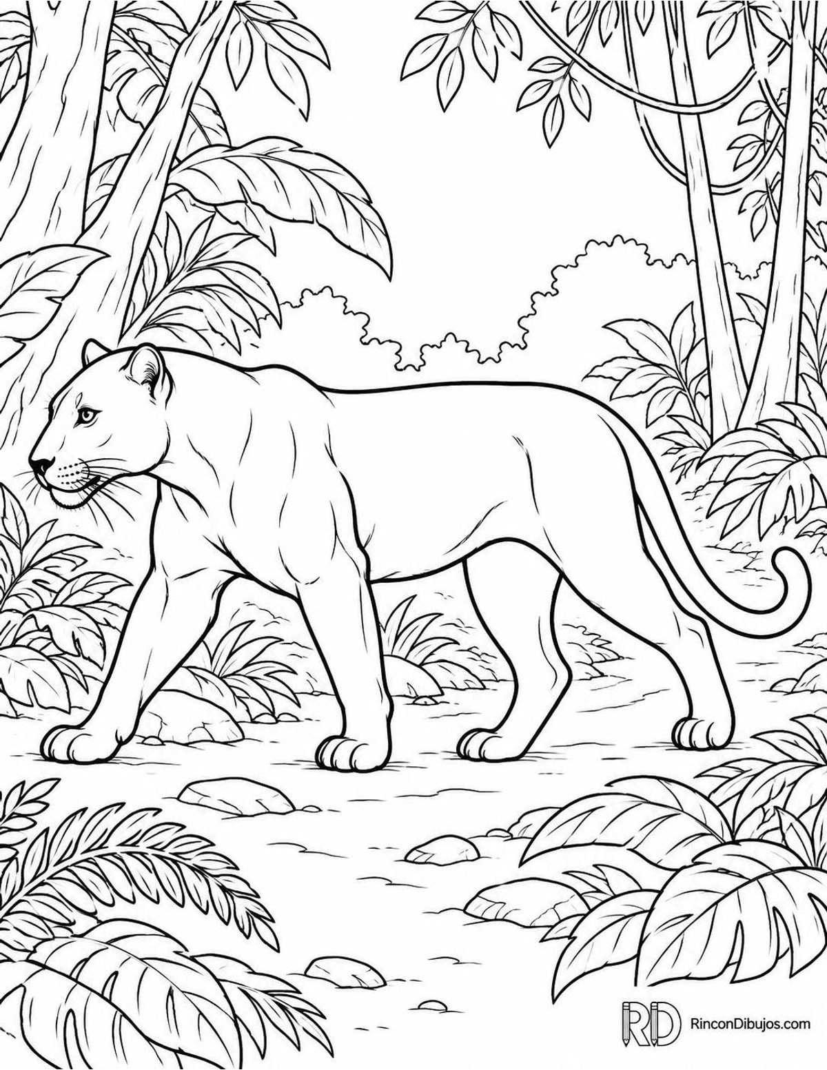 Dibujo de pantera caminando para colorear Dibujo de pantera caminando para colorear