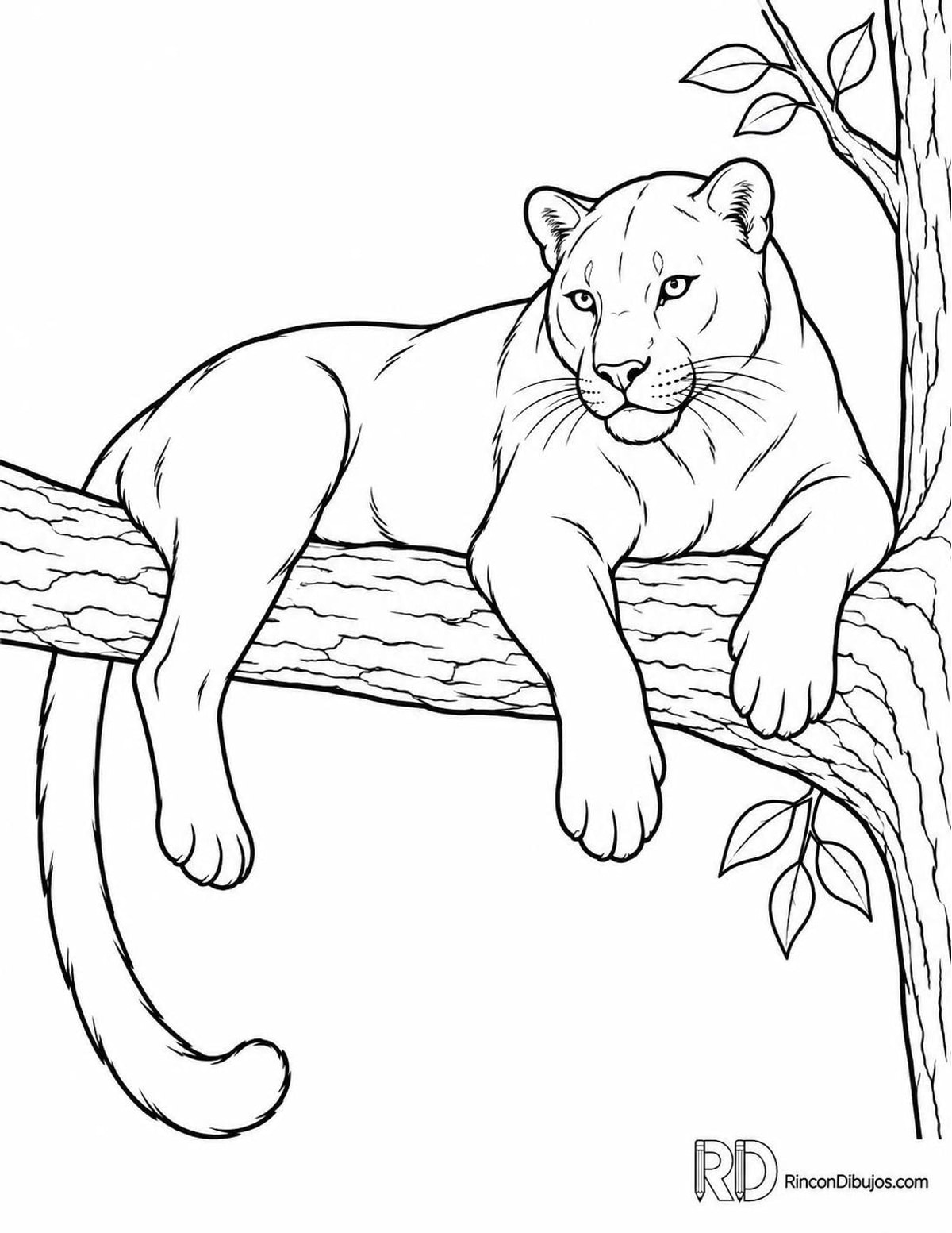 Dibujo de pantera descansando para colorear Dibujo de pantera descansando para colorear