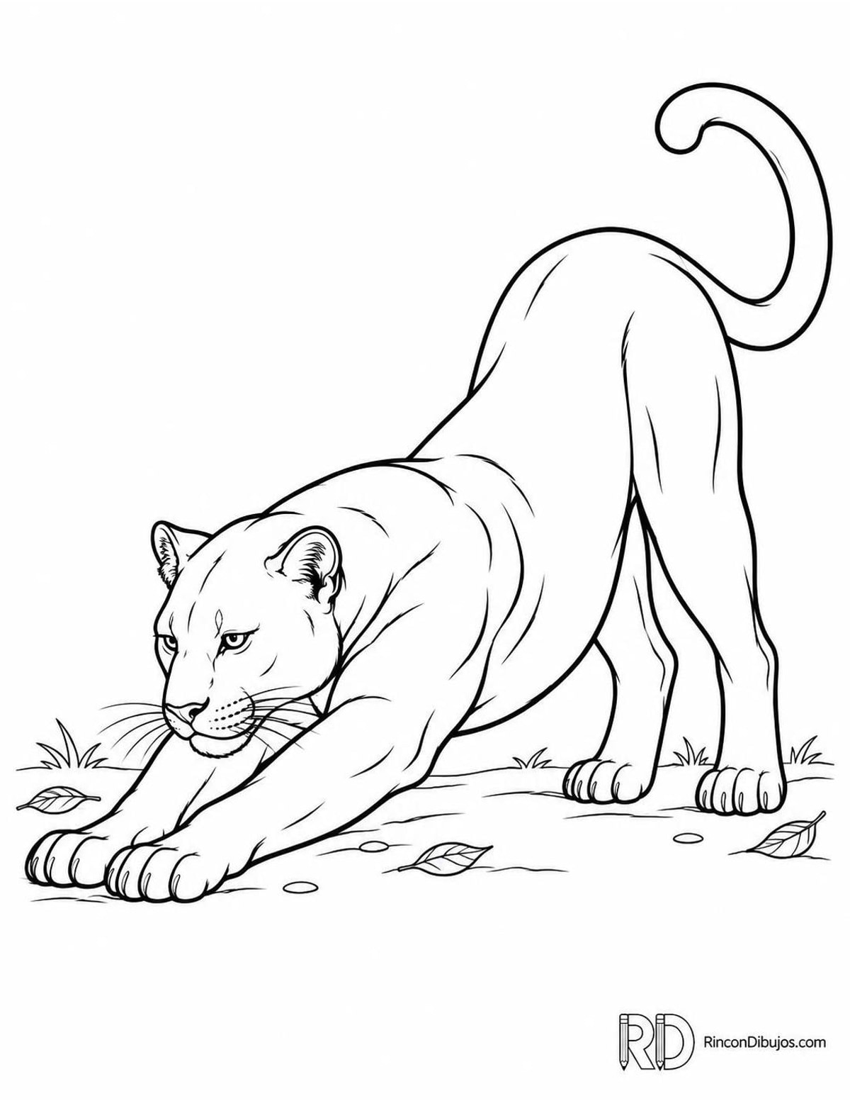 Dibujo de pantera estirándose para colorear Dibujo de pantera estirándose para colorear